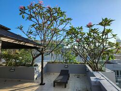 8 @ Mount Sophia (D9), Condominium #575320321